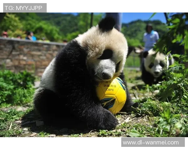 阿坝州足球的崛起与发展探索助力地方文化与经济的双重提升